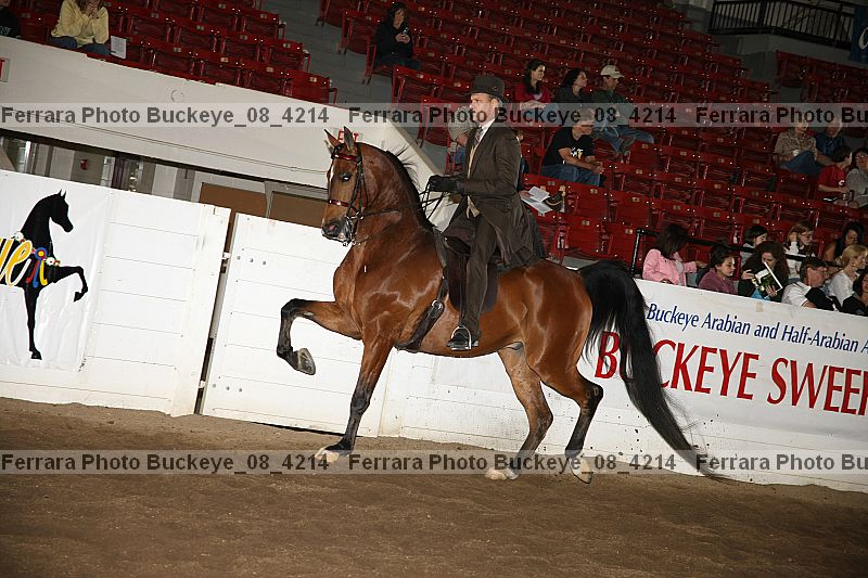 Proof Number buckeye_08_4214