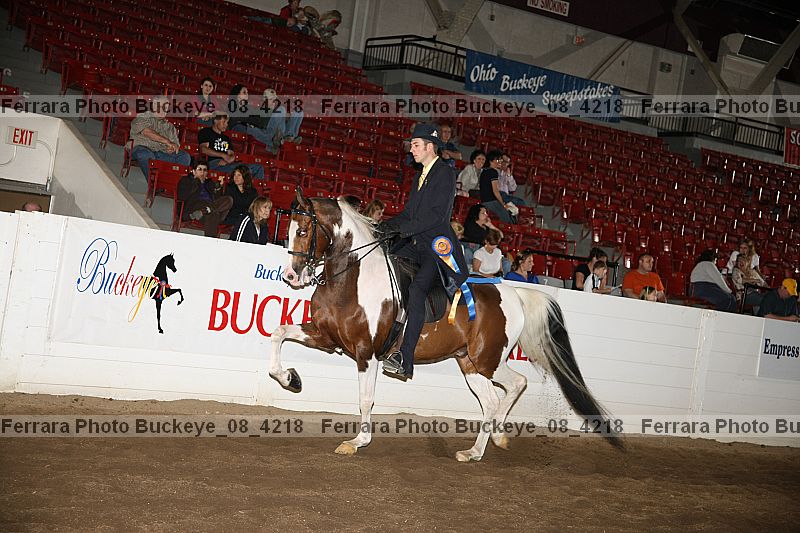 Proof Number buckeye_08_4218