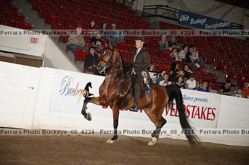 Proof Number buckeye_08_4224