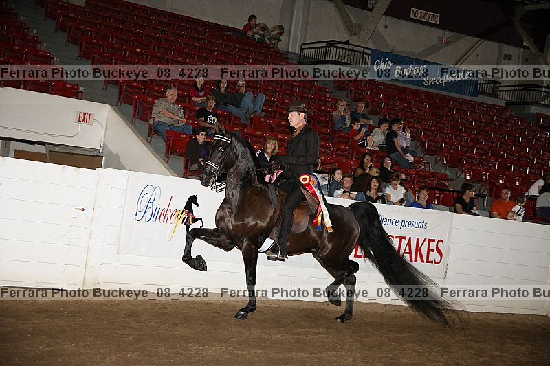 Proof Number buckeye_08_4228