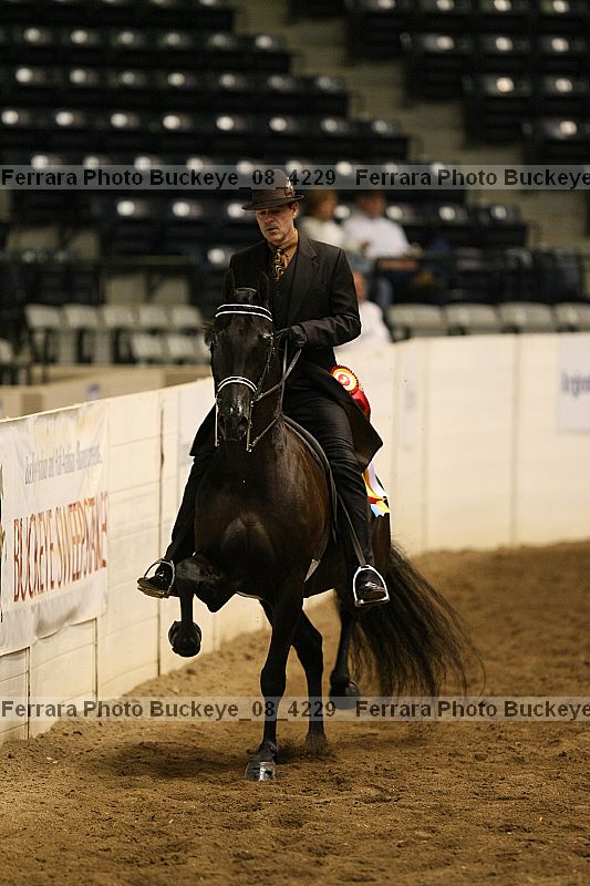 Proof Number buckeye_08_4229