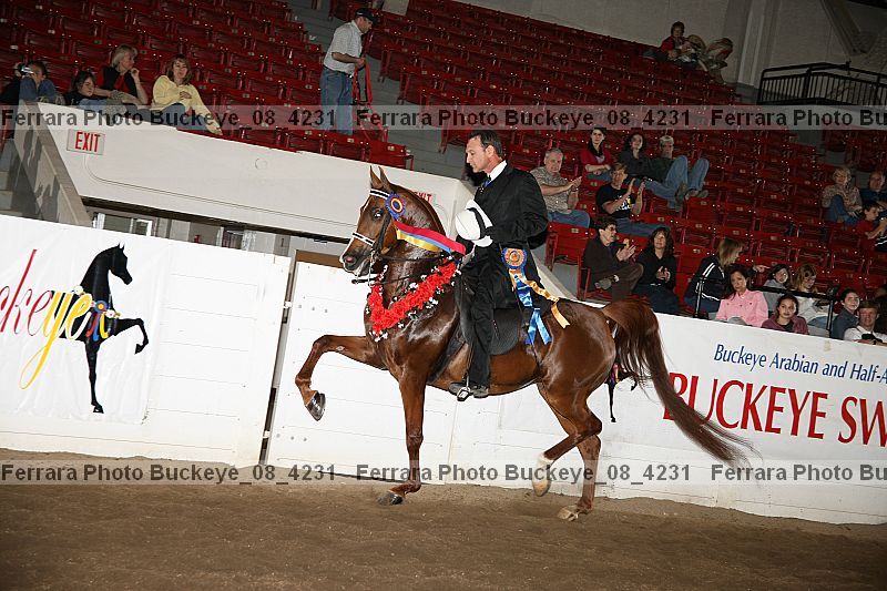 Proof Number buckeye_08_4231