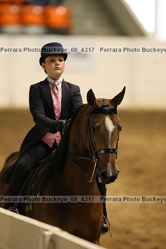 Proof Number buckeye_08_4317