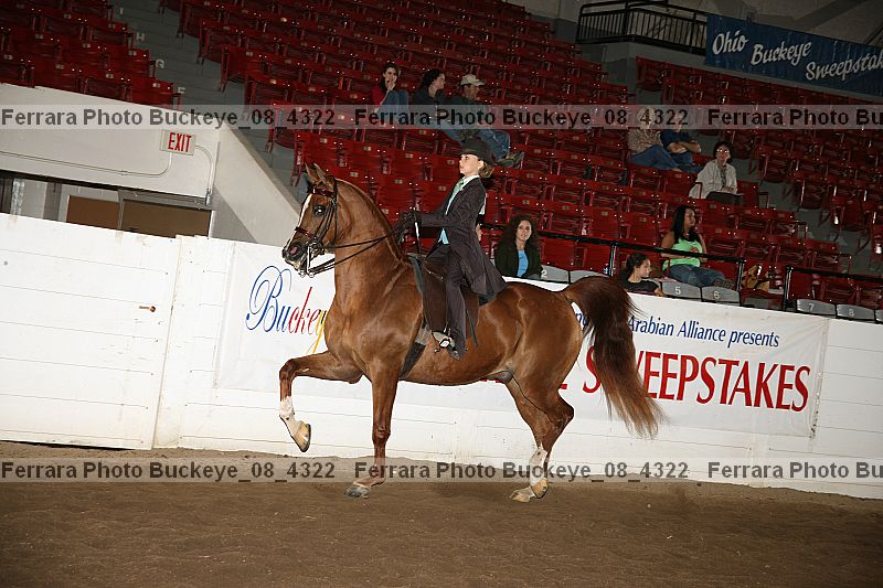 Proof Number buckeye_08_4322