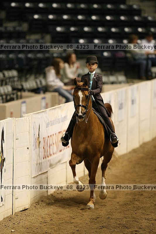 Proof Number buckeye_08_4323