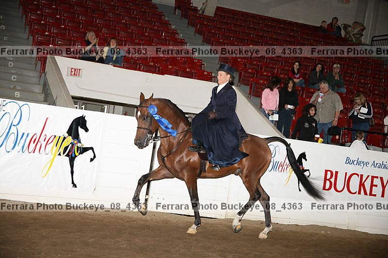 Proof Number buckeye_08_4363