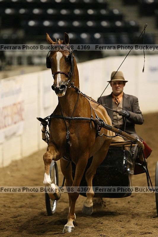 Proof Number buckeye_08_4369