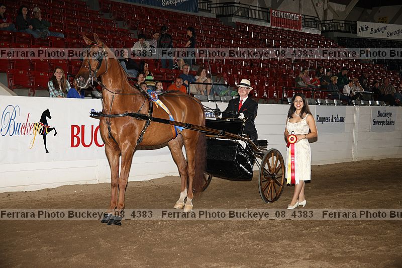 Proof Number buckeye_08_4383