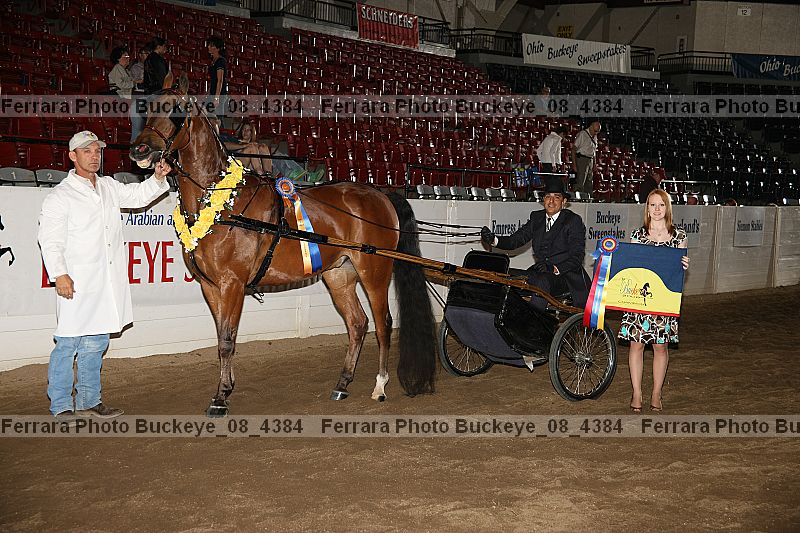 Proof Number buckeye_08_4384