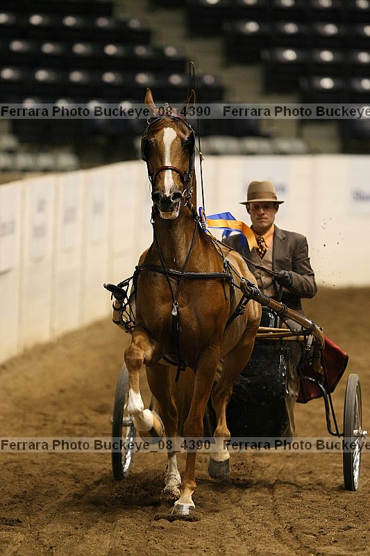 Proof Number buckeye_08_4390