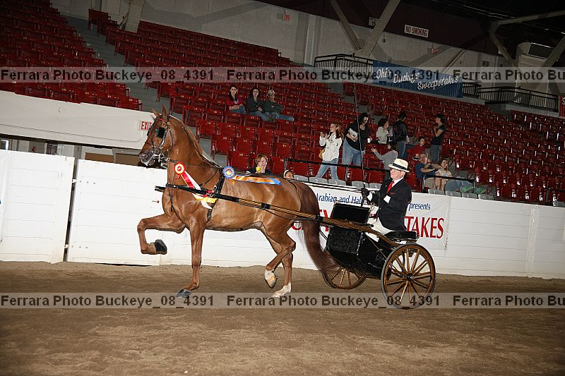 Proof Number buckeye_08_4391