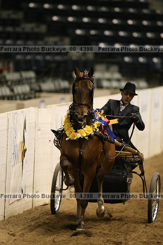 Proof Number buckeye_08_4398