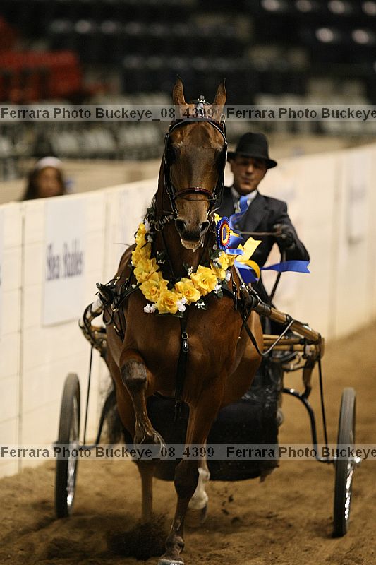 Proof Number buckeye_08_4399