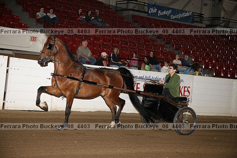 Proof Number buckeye_08_4403