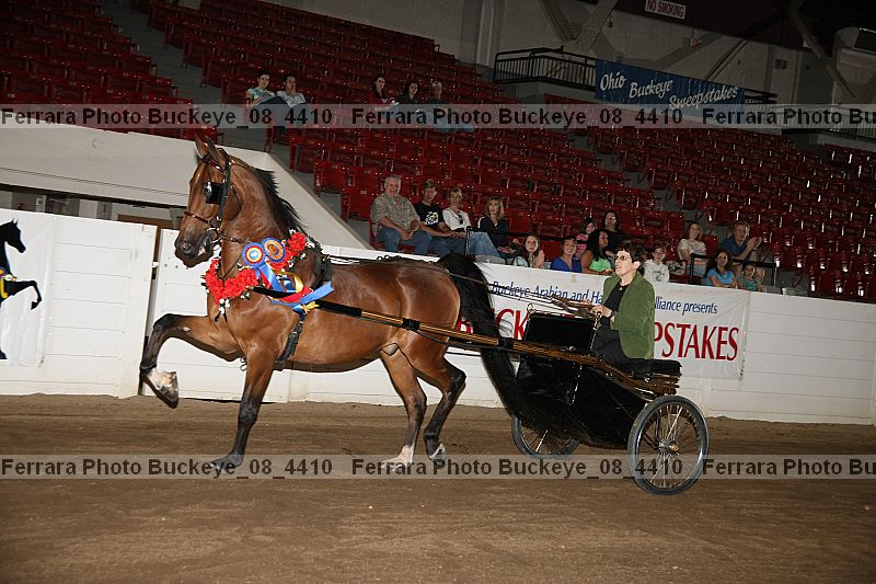 Proof Number buckeye_08_4410