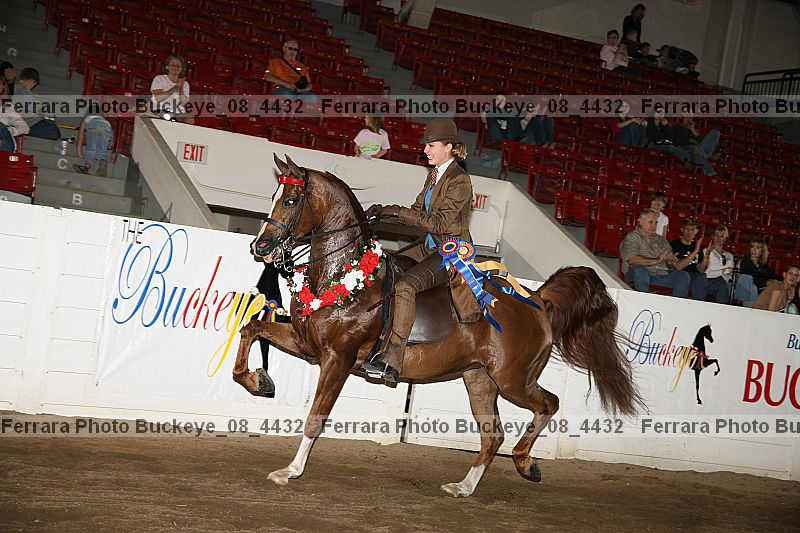 Proof Number buckeye_08_4432
