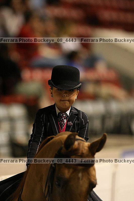 Proof Number buckeye_08_4443