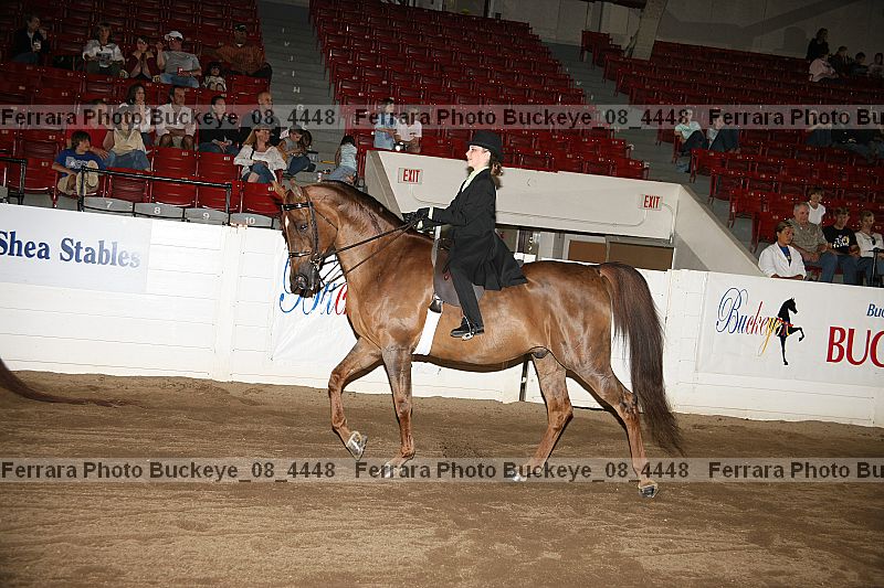 Proof Number buckeye_08_4448