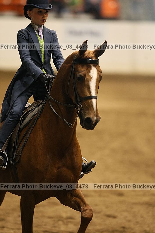 Proof Number buckeye_08_4478