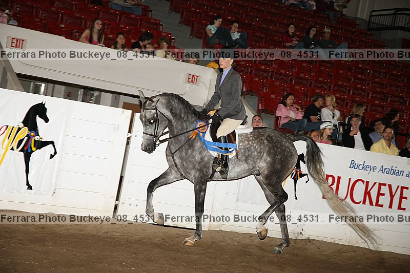 Proof Number buckeye_08_4531