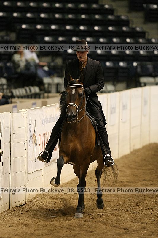 Proof Number buckeye_08_4543