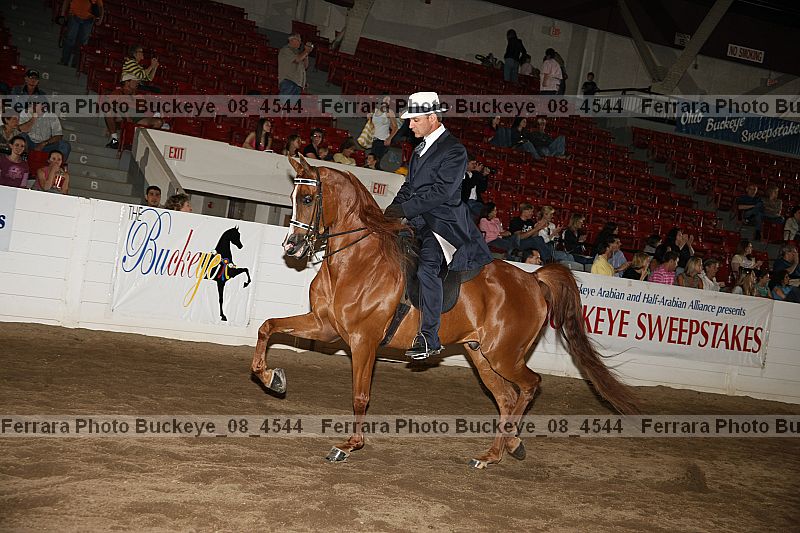 Proof Number buckeye_08_4544