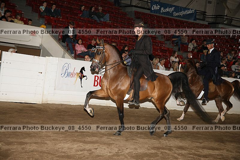 Proof Number buckeye_08_4550