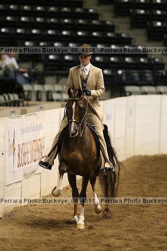 Proof Number buckeye_08_4551