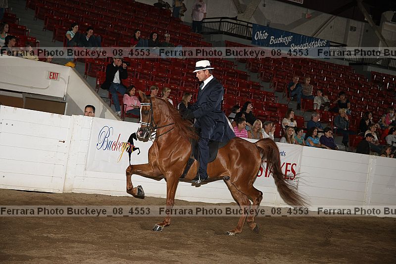 Proof Number buckeye_08_4553