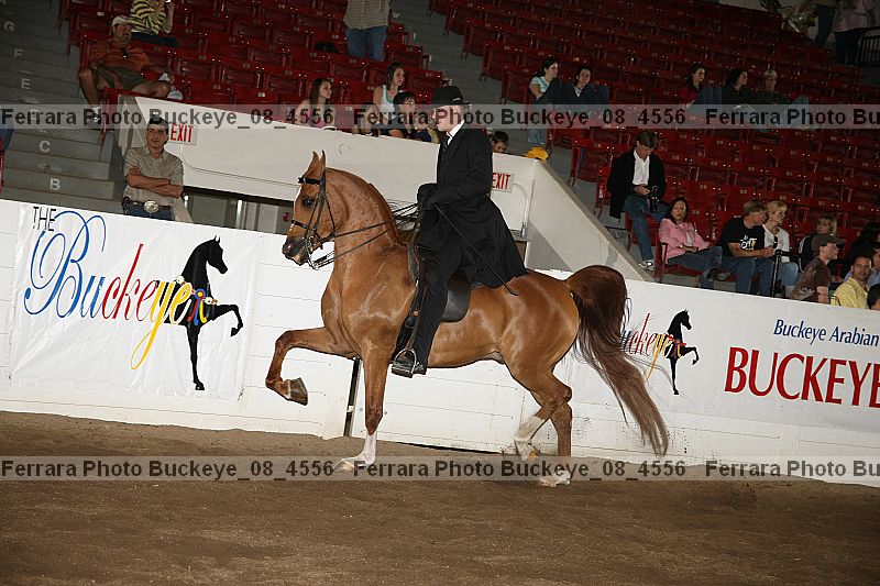 Proof Number buckeye_08_4556
