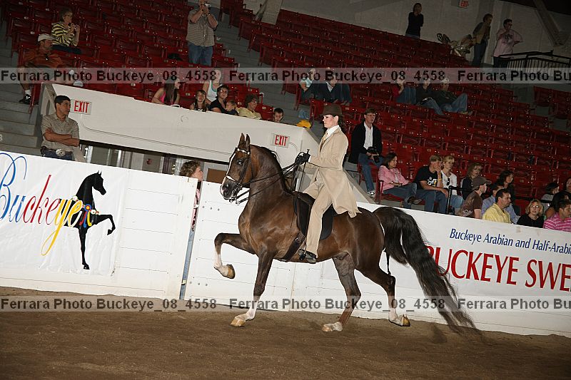 Proof Number buckeye_08_4558
