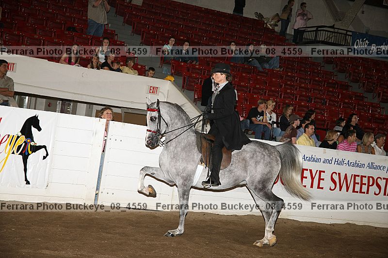 Proof Number buckeye_08_4559