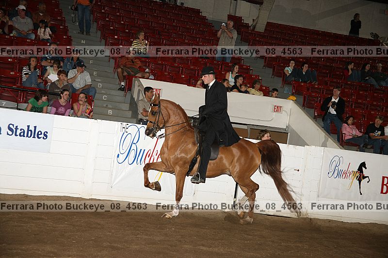 Proof Number buckeye_08_4563