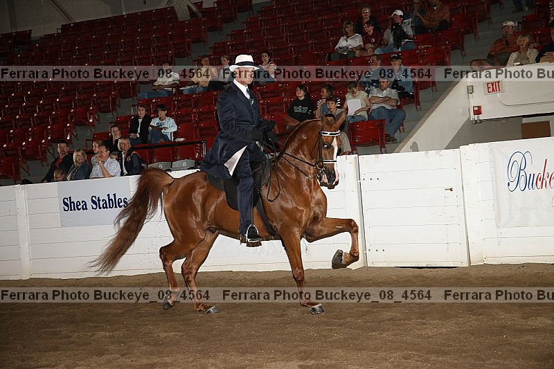 Proof Number buckeye_08_4564