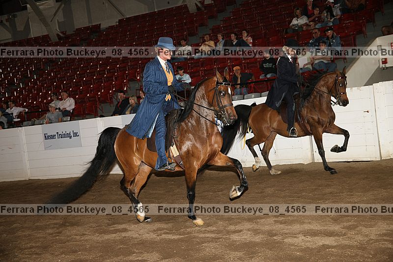 Proof Number buckeye_08_4565