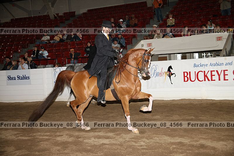 Proof Number buckeye_08_4566