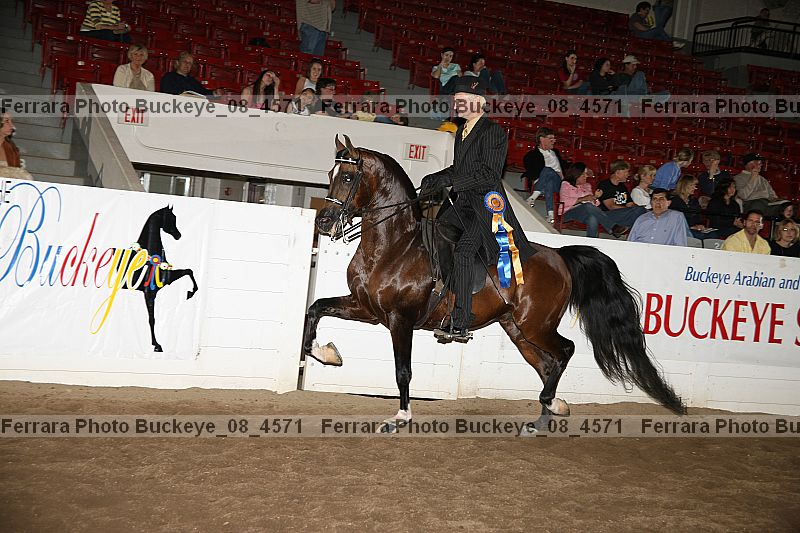 Proof Number buckeye_08_4571