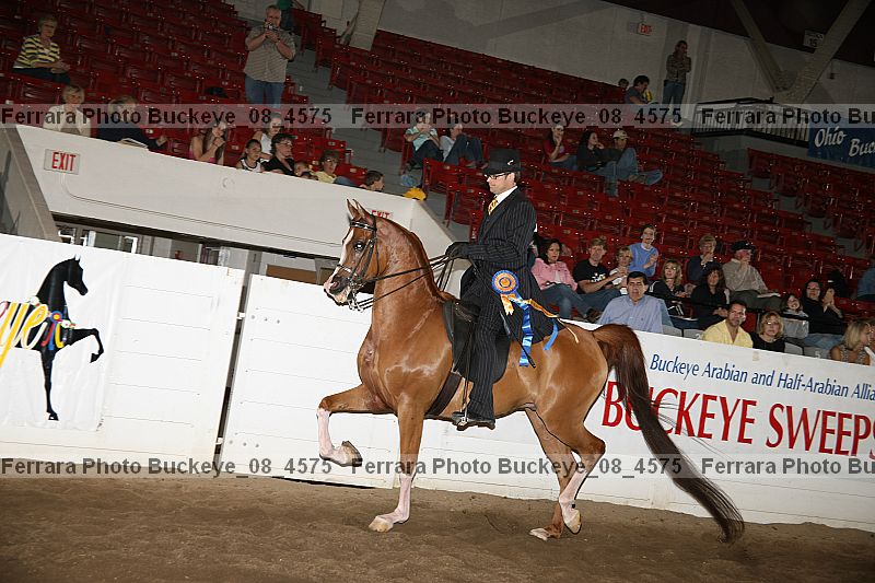 Proof Number buckeye_08_4575