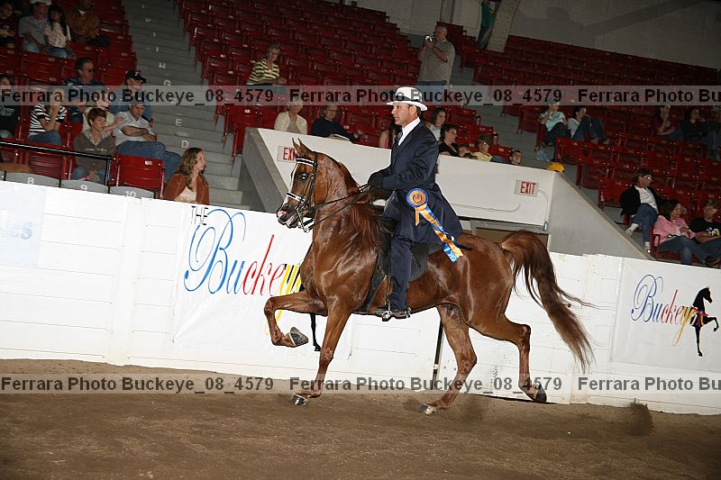 Proof Number buckeye_08_4579
