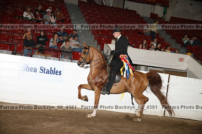 Proof Number buckeye_08_4581
