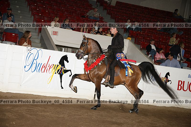 Proof Number buckeye_08_4584