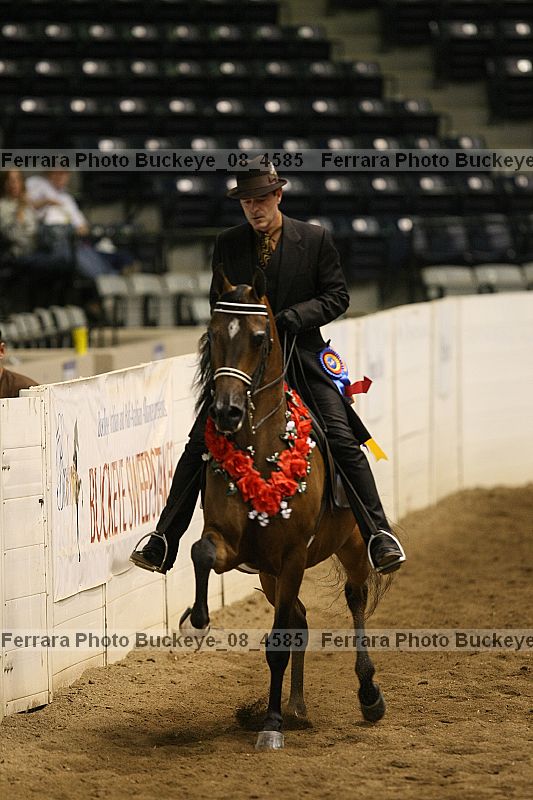 Proof Number buckeye_08_4585