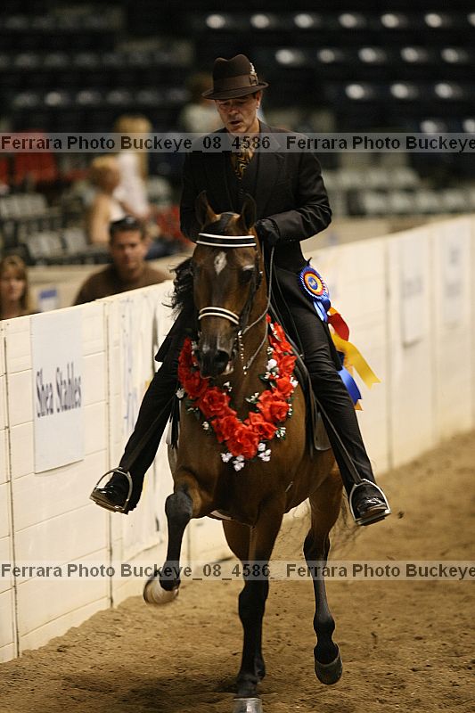 Proof Number buckeye_08_4586