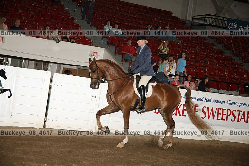Proof Number buckeye_08_4617