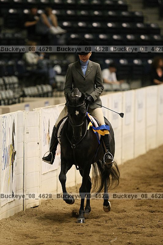 Proof Number buckeye_08_4628
