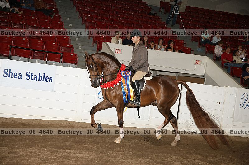 Proof Number buckeye_08_4640
