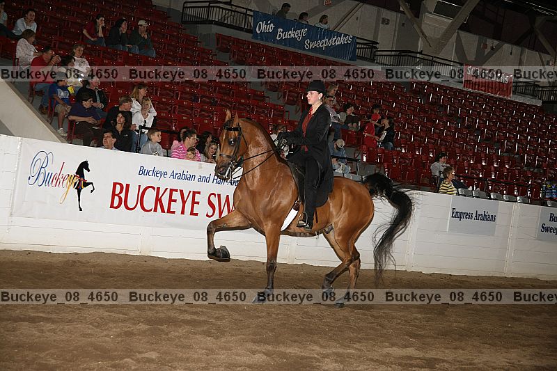 Proof Number buckeye_08_4650