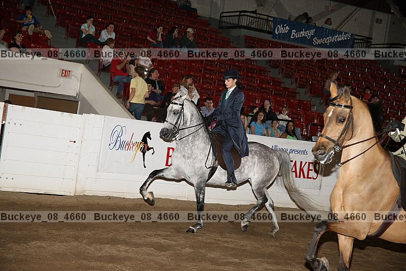 Proof Number buckeye_08_4660