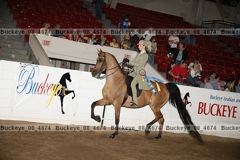 Proof Number buckeye_08_4674