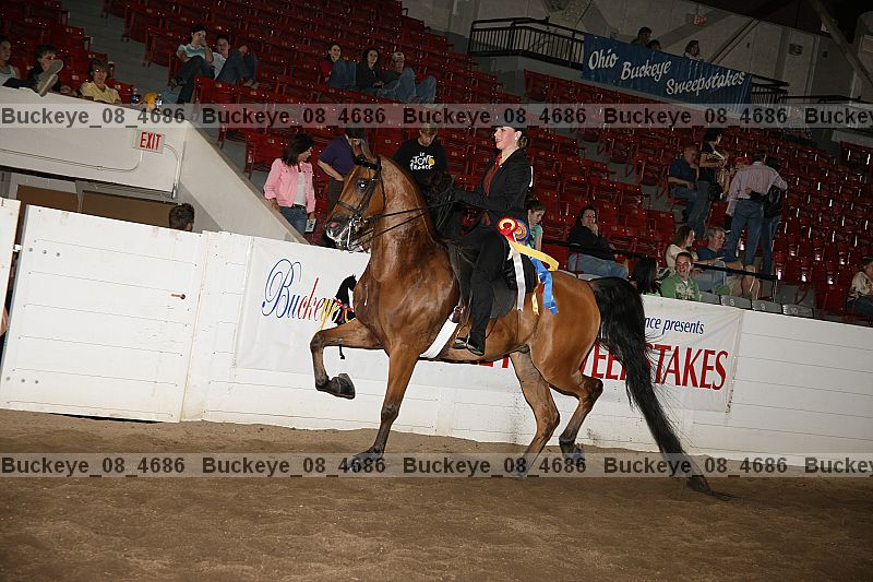 Proof Number buckeye_08_4686